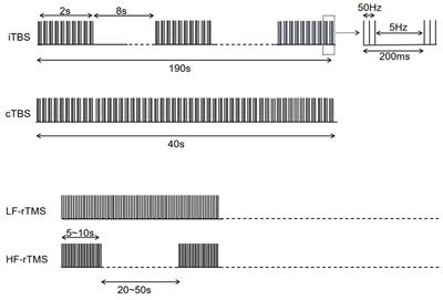 Transcranial Magnetic Stimulation Alleviates Levodopa-Induced Dyskinesia in Parkinson's Disease and the Related Mechanisms: A Mini-Review